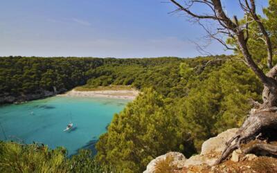 21199581458 35f04aab5e k