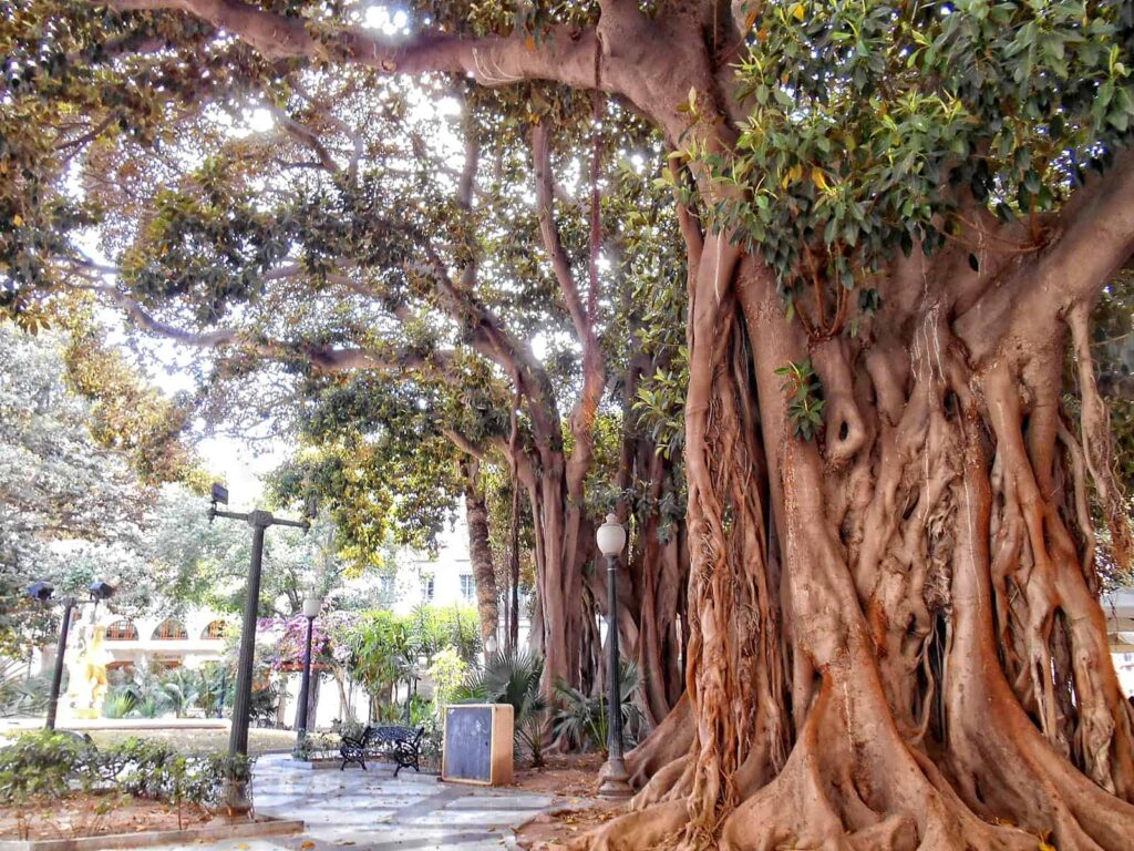 Qué ver en Alicante en un día