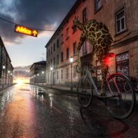 Explorando África - Viaje único en bici por el continente africano