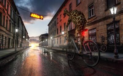 AdobeStock 246382682 scaled