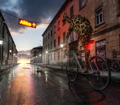 AdobeStock 246382682 scaled