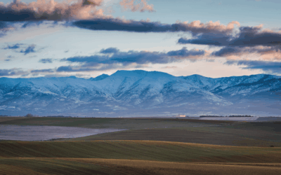 Captura de pantalla 2024 03 26 a las 10.20.01