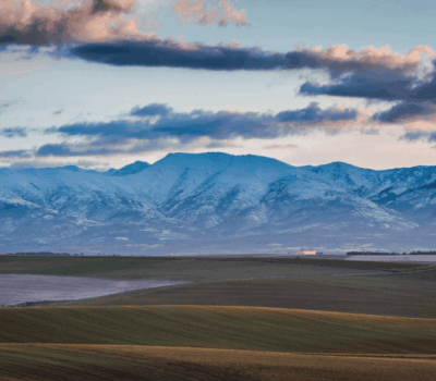 Captura de pantalla 2024 03 26 a las 10.20.01