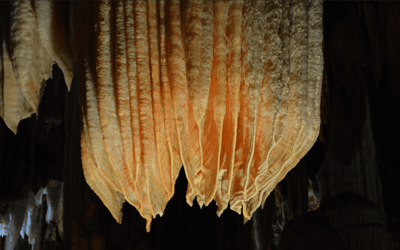 Captura de pantalla 2024 03 26 a las 9.02.19