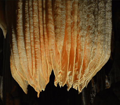 Captura de pantalla 2024 03 26 a las 9.02.19