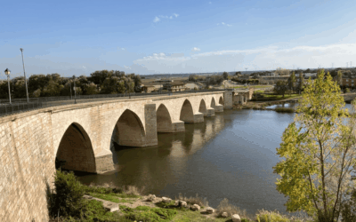 Captura de pantalla 2024 03 26 a las 9.42.37