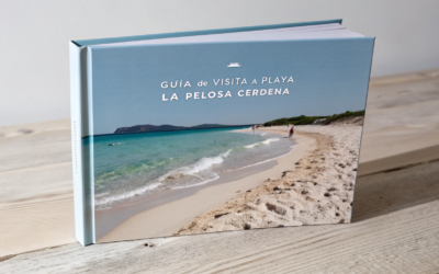 Guía de Visita a Playa La Pelosa