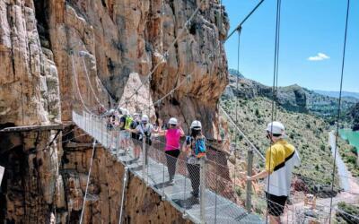 path of the king 2542056 1280