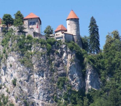 the needle 2746877 1920