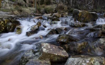 33014616770 1782d7d82c k