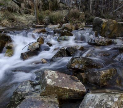 33014616770 1782d7d82c k