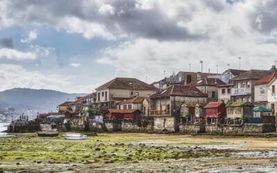 50508986186 5c718bccef k