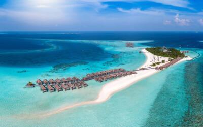 AdobeStock 410619401 scaled