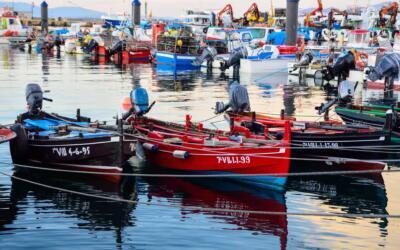 37477694764 2483e96685 k