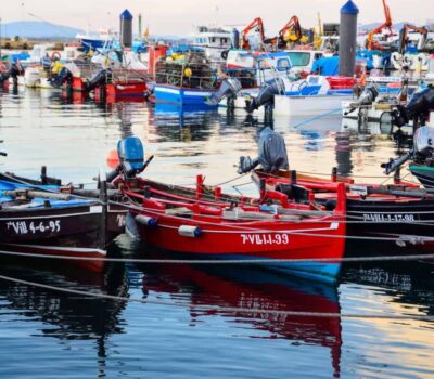 37477694764 2483e96685 k