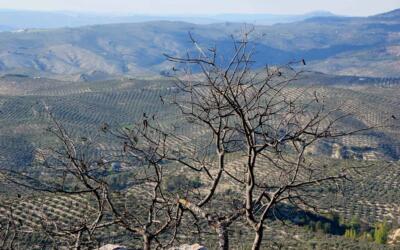 51088146612 188c637473 k