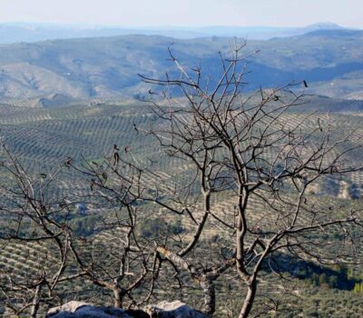 51088146612 188c637473 k