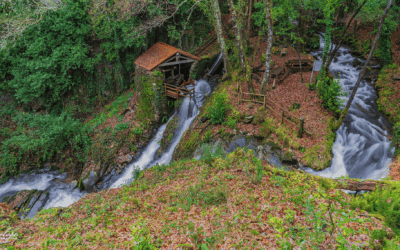 Captura de Pantalla 2024 05 13 a las 19.59.25