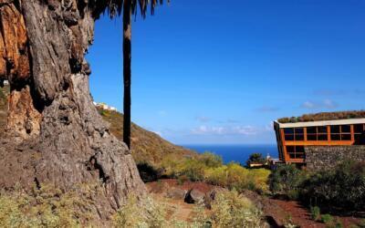 drago milenario 2413012 1920