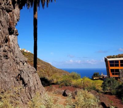 drago milenario 2413012 1920