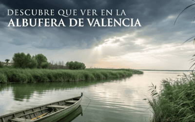 Qué Ver en la Albufera de Valencia
