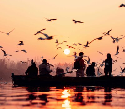 pexels anuj yadav 34803963 8207635 scaled