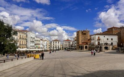 pexels matoga 12135828 scaled