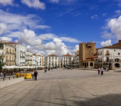 pexels matoga 12135828 scaled