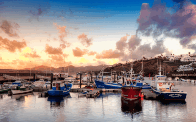 Captura de Pantalla 2024 07 07 a las 8.01.27