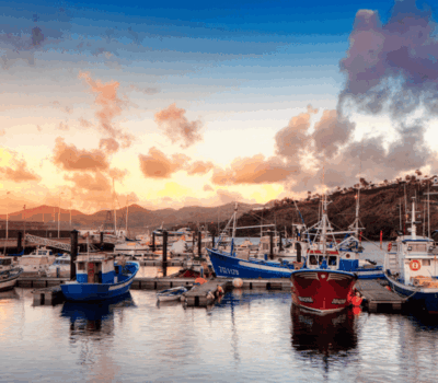 Captura de Pantalla 2024 07 07 a las 8.01.27