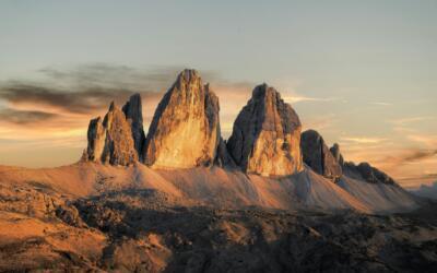 pexels eberhardgross 26854671