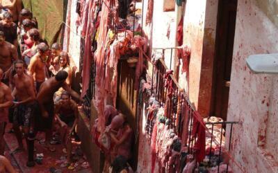 tomatina 775455 1920