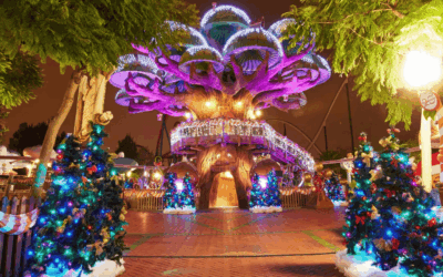 Captura de pantalla 2024 08 20 a las 9.35.54