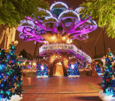 Captura de pantalla 2024 08 20 a las 9.35.54