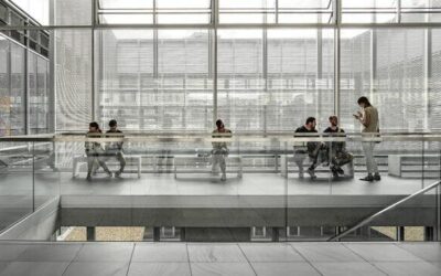 museo estrella galicia mega visita entradas y experiencias