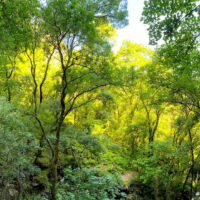 Fervenza de Augacaída: descubre esta impresionante cascada en Galicia