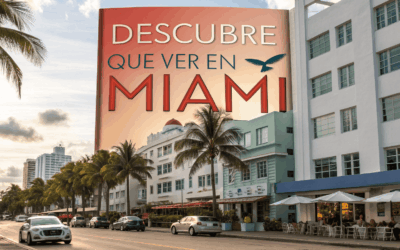 Descubre qué ver en Miami