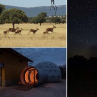 ‘BERREA Y ESTRELLAS’ EN ENTREPARQUES,UNA EXPERIENCIA SINGULAR A DOS HORAS DE MADRID