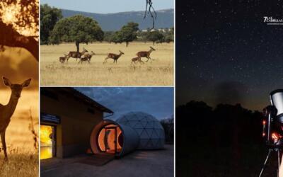 47B082A5 4CF0 4883 9223 864E3FA88EB0