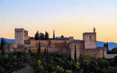 49153056571 02195c8a14 c