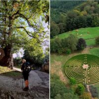 PON TUS CINCO SENTIDOS PARA VIVIR UN VIAJE SIN IGUAL POR EL CAMINO DE SANTIAGO FRANCÉS