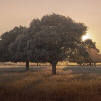 Rincones de Castilla-La Mancha para una Escapada de Relax el Fin de Semana