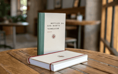 Moteles en San Martin Texmelucan