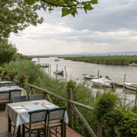 Donde comer en la Albufera de Valencia