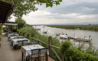 Donde comer en la Albufera de Valencia