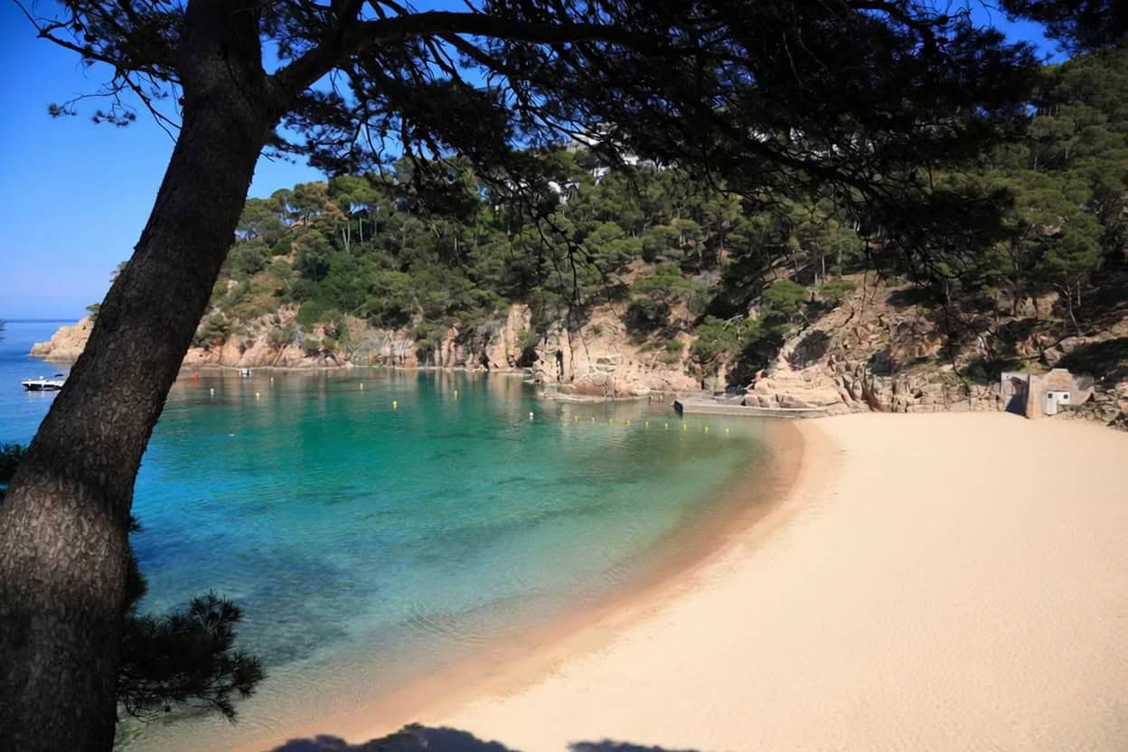 Es Cavallet Ibiza, una de las mejores playas nudistas del mundo