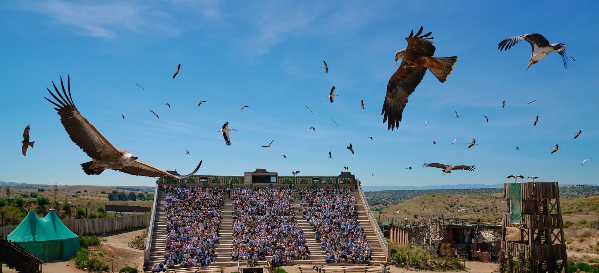 Cetrería de Reyes — Puy du Fou Toledo