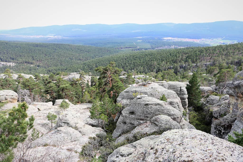 Mirador de Castroviejo sobre el mar de pinos de la Comarca de Pinares, Soria
