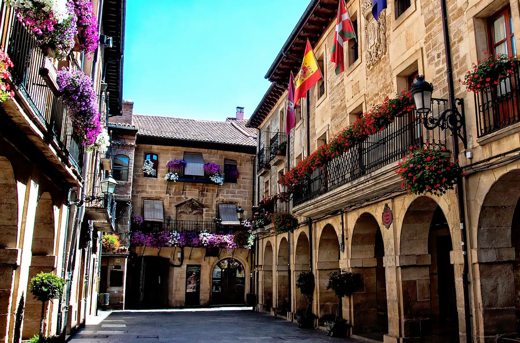 Viñedos de la Rioja Alavesa con la Sierra de Cantabria al fondo