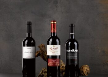 vinos Ribera del Duero